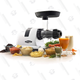 Omega Masticating Juicer | $200 | Amazon